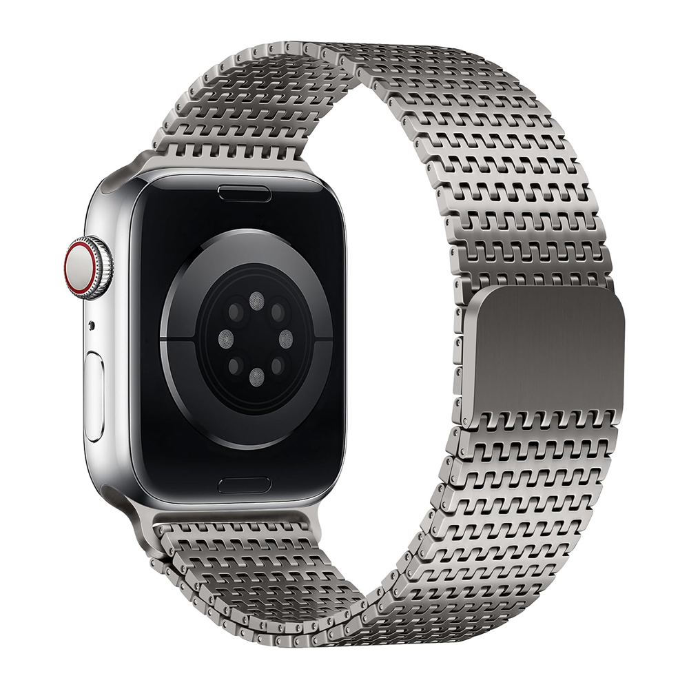 Titanium lusband voor Apple Wa - Milanese Loop Magnetic recensie en prijs